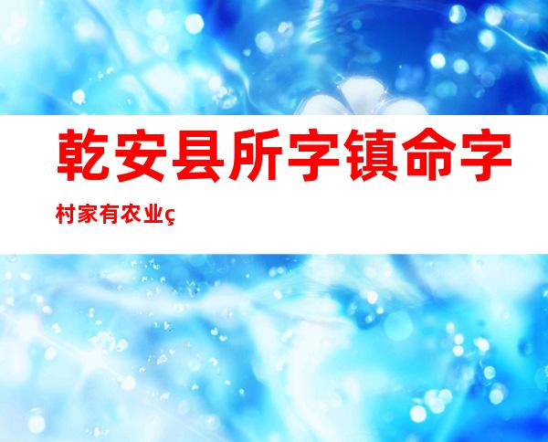 乾安县所字镇命字村家有农业种植专业合作社